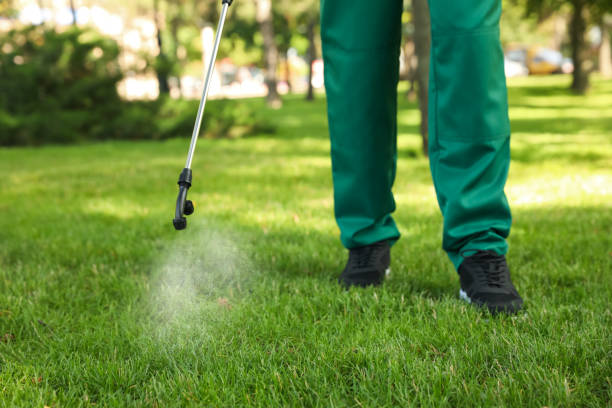 Best Best Pest Control Companies  in Altamont, TN