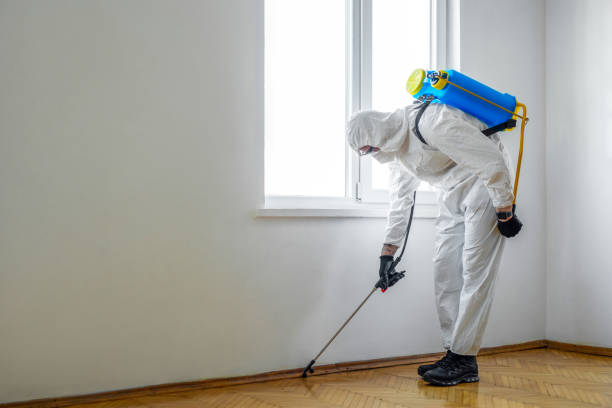 Best Cockroach Control Services  in Altamont, TN