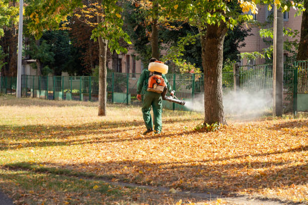Best Emergency Pest Control  in Altamont, TN