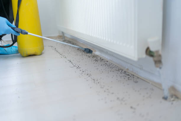 Best Pest Removal Services  in Altamont, TN